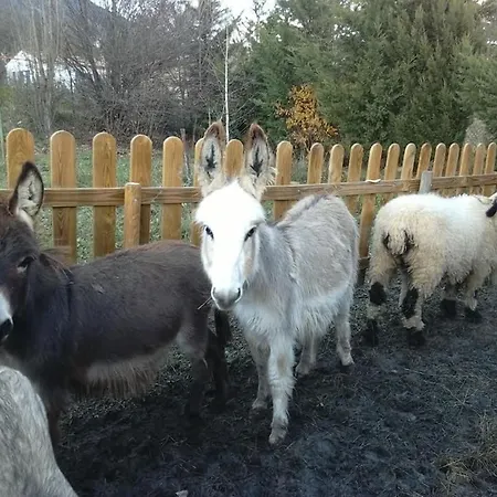 Ane'ita De L'arbenquens